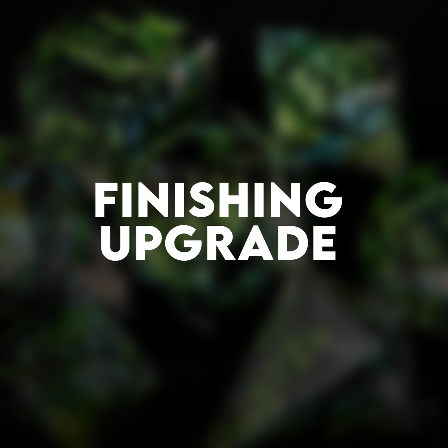 Finishing upgrade
